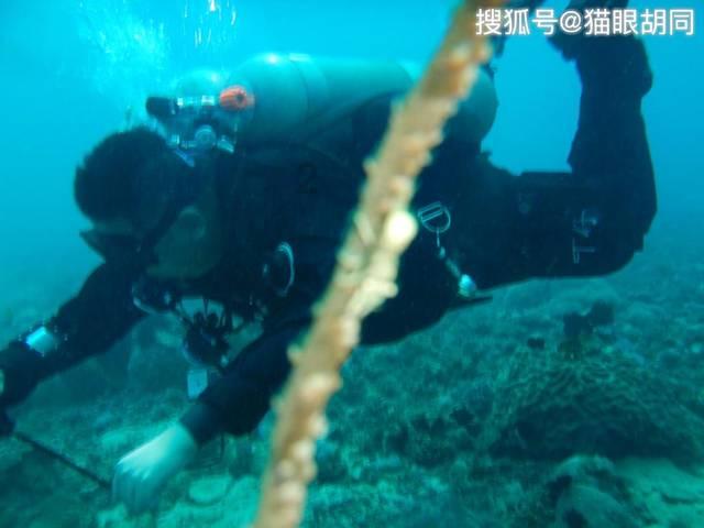 若干年以后,人类灭绝了。所以你现在追求这些钱啊权力啊面子啊有什么用- 快速解答你的疑问